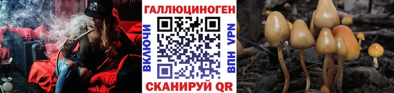 Галлюциногенные грибы Magic Shrooms  Купить закладки  Комсомольск 